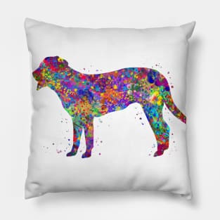 Swiss Mountain dog Pillow