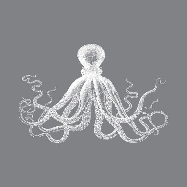 Octopus | Vintage Octopus | Tentacles | Sea Creatures | Nautical | Ocean | Sea | Beach | Grey and White | by Eclectic At Heart