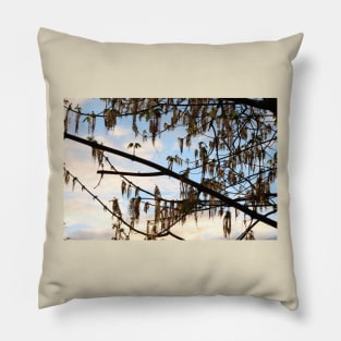 sunset through wind blown tree Pillow