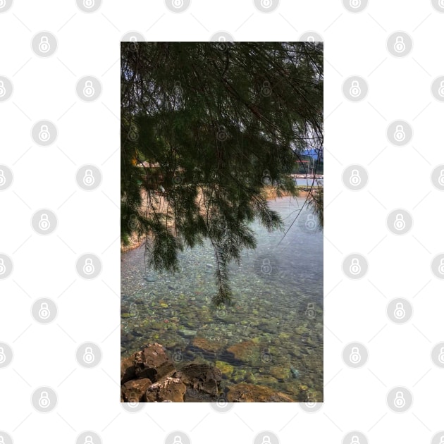 Stone sea surface in pristine clear water under a fir tree by Khala