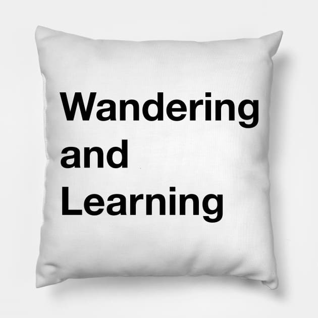 Wandering Pillow by TheCosmicTradingPost