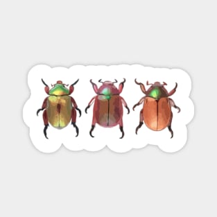 3 Christmas Beetles Digital Painting Magnet