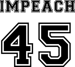 #Impeach 45 (Trump) Magnet