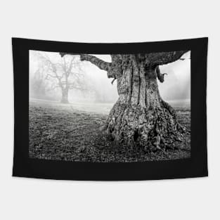 Old Oak Tree Trunk In Fog Tapestry