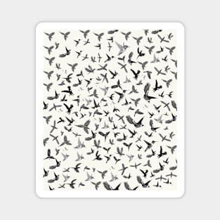 Birds Birds Birds Magnet