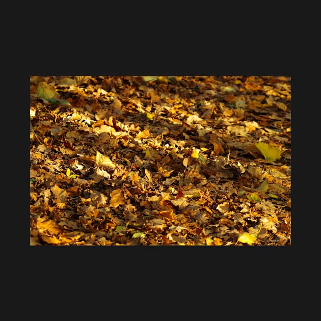 leafs carpet of gold by Simon-dell