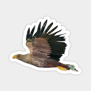 Eagle flying Magnet