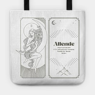 Meteorite Collector "Observed Fall: Allende" Meteorite Tote