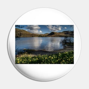 Ullswater Daffodils Pin