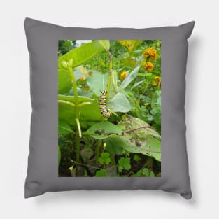 Monarch Butterfly Caterpillar Pillow