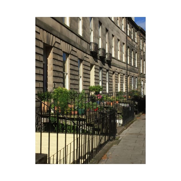 Flowers And Houses In Edinburgh Terrace by golan22may