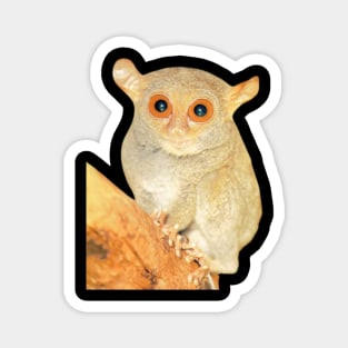 Tarsier animal Magnet