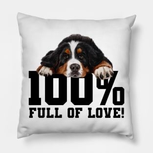 Bernese mountain dog Pillow