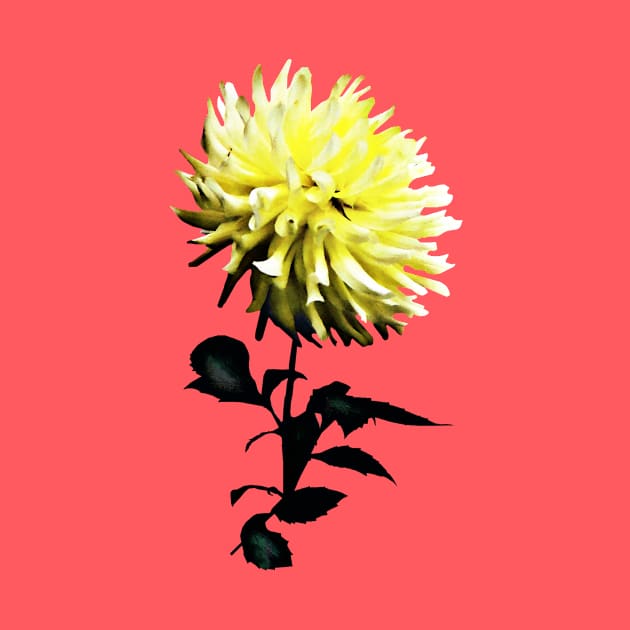 One Yellow Dahlia by SusanSavad