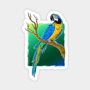 Ara Bird on square Magnet