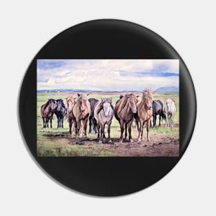 Wild Horses in Iceland Pin