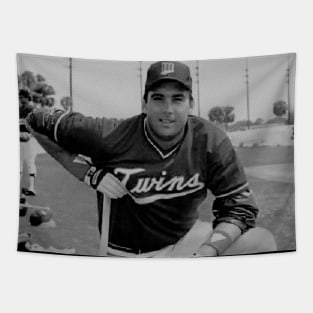 Kent Hrbek  Halftone Tapestry