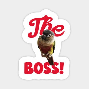 The Boss Green Cheek Conure Parrot Bird, Love for birds Magnet