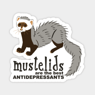 Mustelids are the best antidepressants #1 Magnet