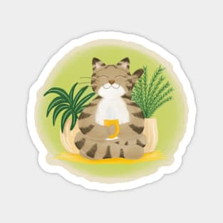 Cute yoga cat drinking tea Magnet