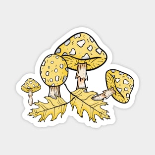 Mellow Colored Autumn Pattern with Oak Leaf and Mushroom - Toadstool Magnet