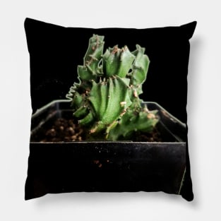 Cactus Pillow