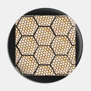 Honey Combs up close picture bees Pin