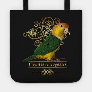 caique Tote