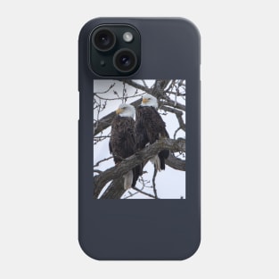 Bald eagles sitting on a branch Phone Case