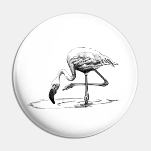 Flamingo Ink Drawing Pin
