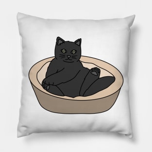 Black Cat Pillow