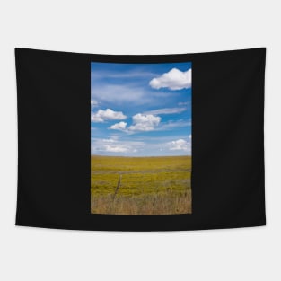 New Mexico landscape. Tapestry