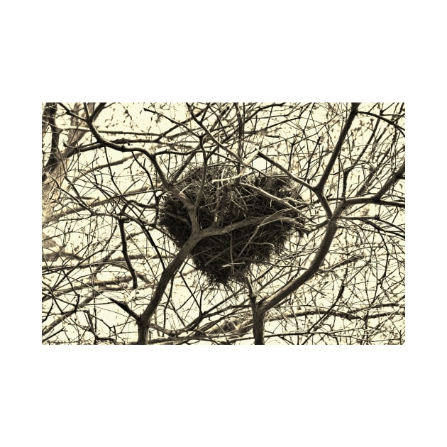 Heart-Shaped Nest by Cynthia48