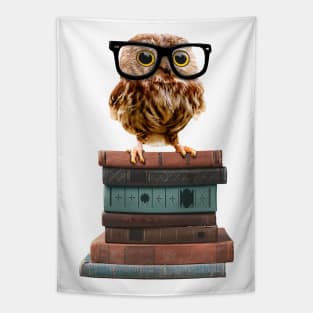 Adorable Nerdy Owl with Glasses on Books Tapestry