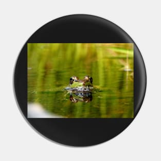 Frog in a Bog Pin