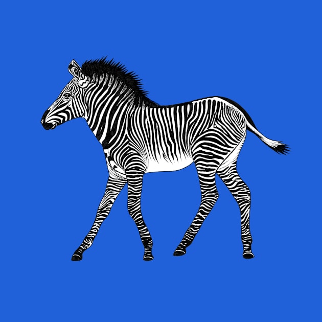 Zebra foal - ink illustration by lorendowding