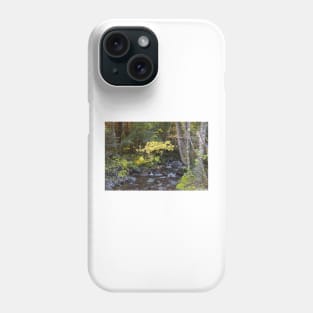 850_2706 Phone Case