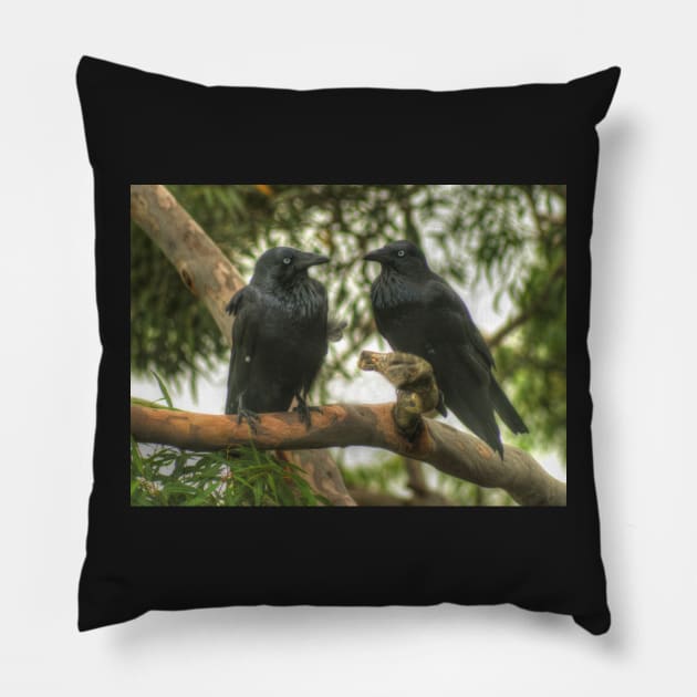 Crows At A Branch Meeting Pillow by Michaelm43