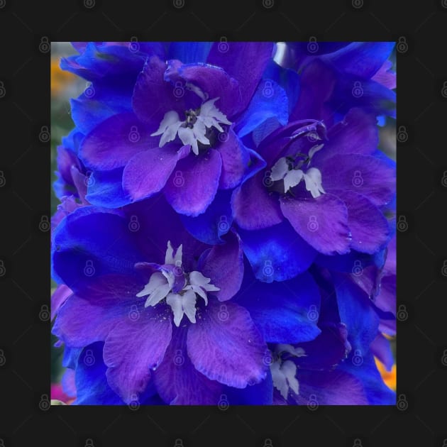 Outrageous Neon Blue Delphinium by Photomersion