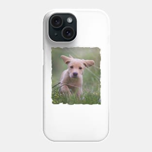 Yellow Lab Puppy Phone Case