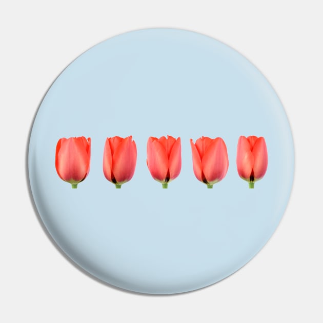 Red tulip Pin by chrisburrows