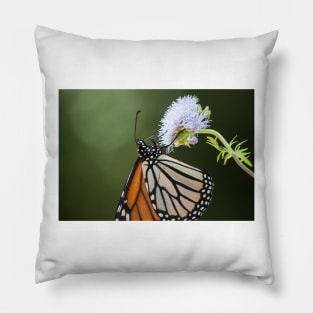 Migration Series XIV Pillow