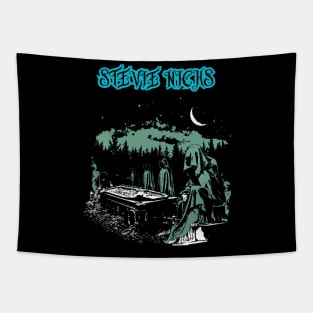 Stevie nicks Tapestry