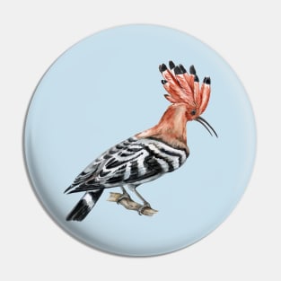 hoopoe bird hand drawn Pin