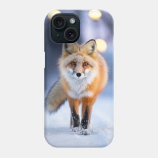 Fox Wildlife Animal On Street Outdoors Phone Case