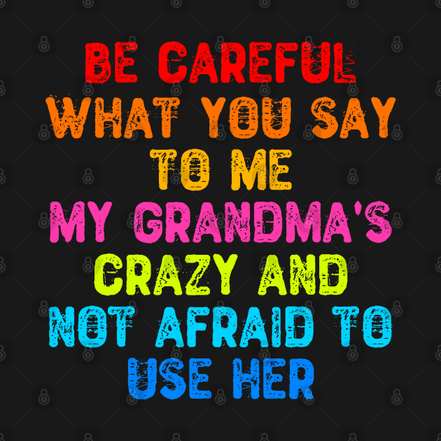 Be Careful What You Say To Me My Grandma's Crazy by Yyoussef101