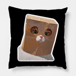 Bagcat Pillow