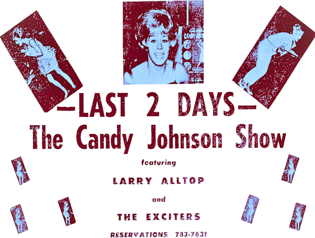 Candy Johnson 1 Kids T-Shirt by Limb Store