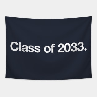Class of 2033. Tapestry