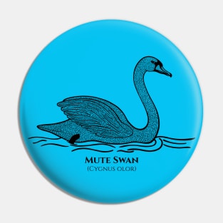 Mute Swan with Common and Scientific Name - detailed bird drawing Pin